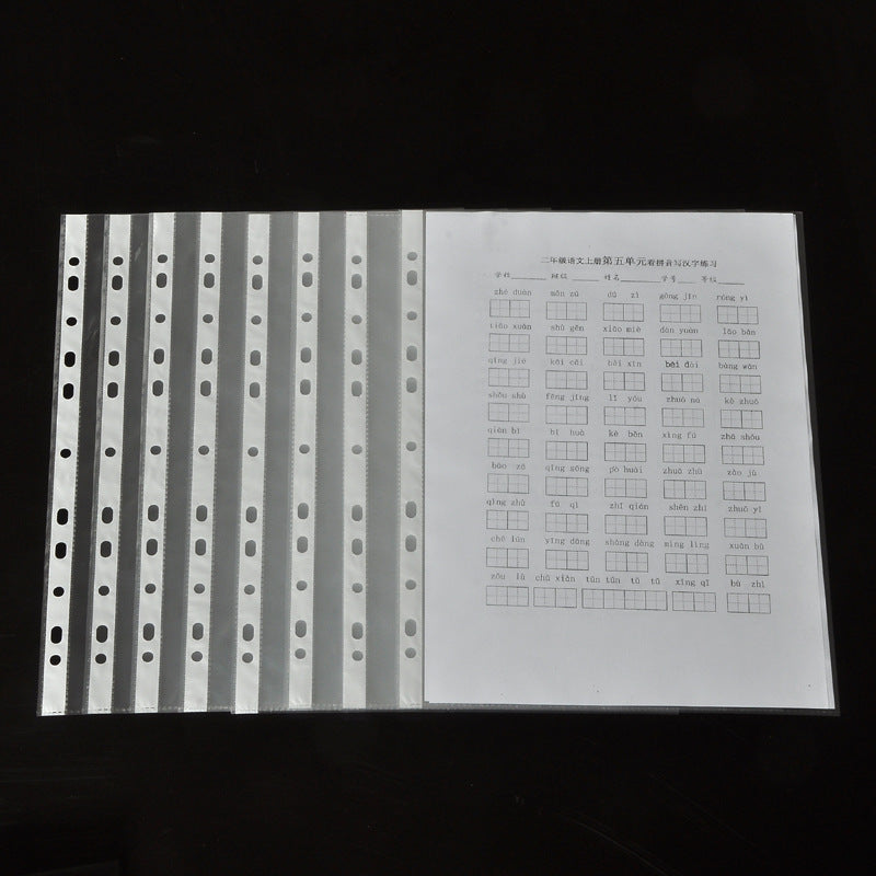 Transparent document protection bag