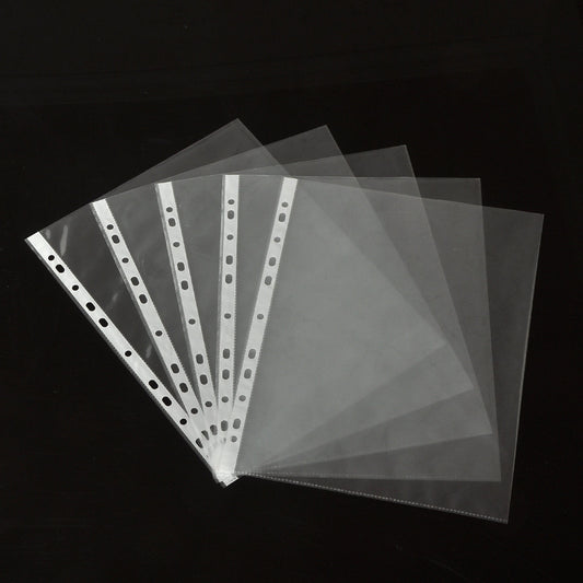 Transparent document protection bag